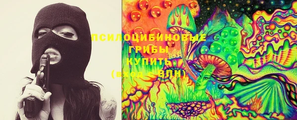 эйфоретик Алзамай