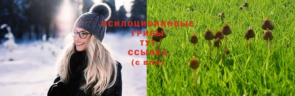 эйфоретик Алзамай