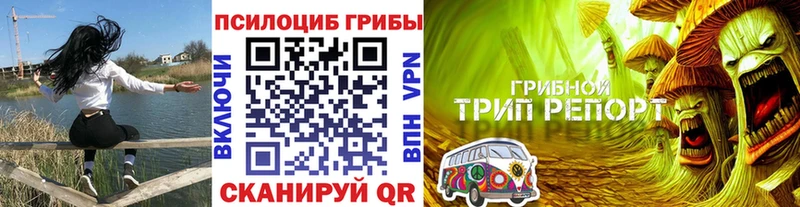 купить наркоту Западная Двина Галлюциногенные грибы Psilocybe